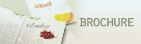 brochure2